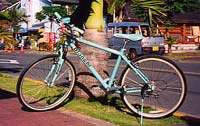 MTB&シティサイクル